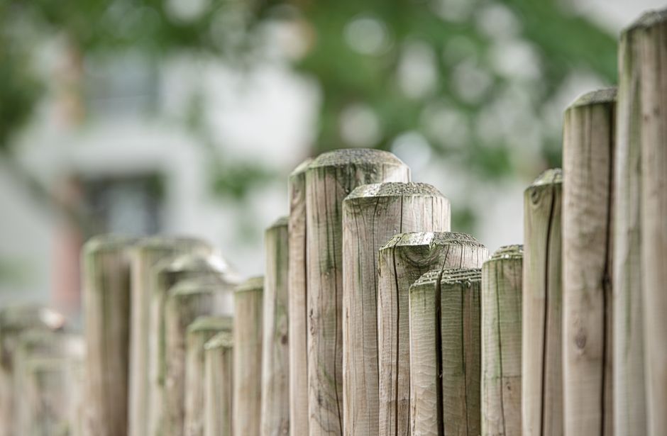 Wooden fence along a yard